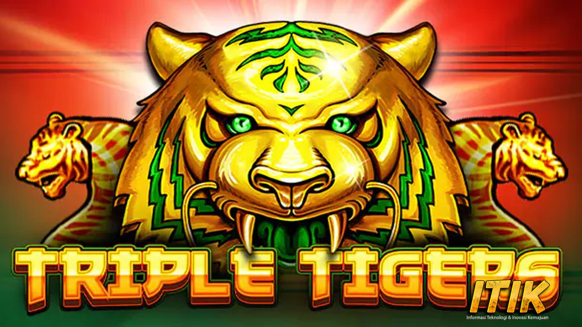 Link Cnnslot Slot Online Triple Tigers Siap Hujani Kamu Jackpot!