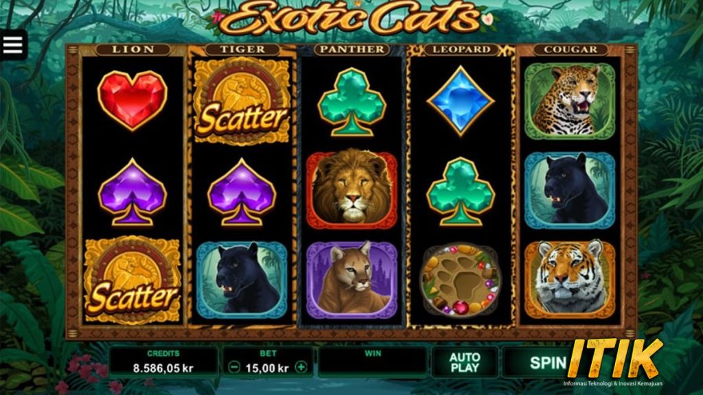 Exotic Cats Analisis Cnn slot 25 Karakter Kucing LangkaExotic Cats Analisis Cnn slot 25 Karakter Kucing Langka