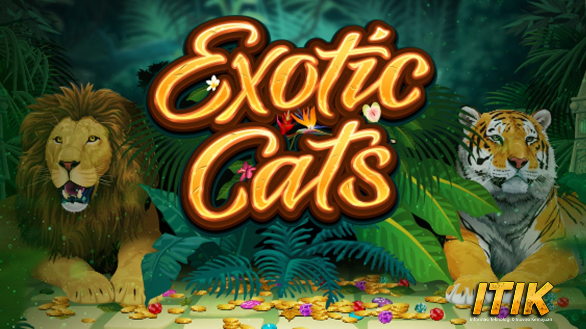 Exotic Cats Analisis Cnn slot 25 Karakter Kucing Langka
