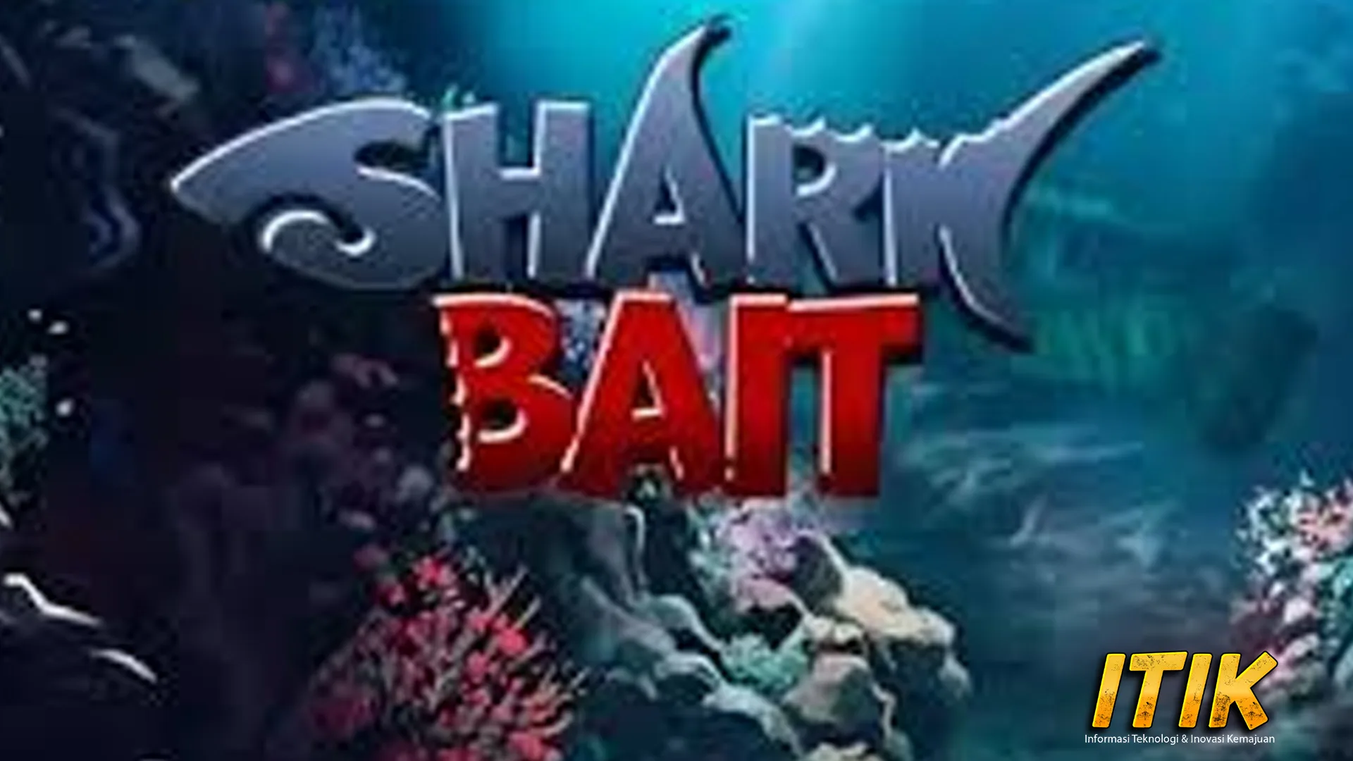 Ruby8000 Umpan Terbaik Serangan di Shark Bait