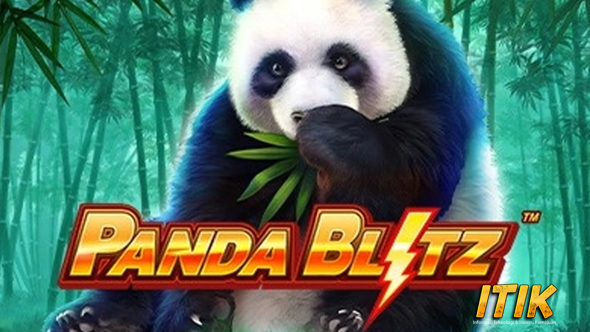 Panda Blitz Cepet Mbok 50jt Menang Kene
