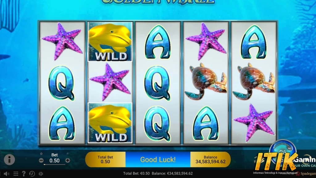 Golden Whale 33 Lautan Penuh Keberuntungan! 2 Golden Whale 33 Lautan Penuh Keberuntungan!